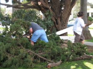 trad med grannens chainsaw trad med grannens chainsaw