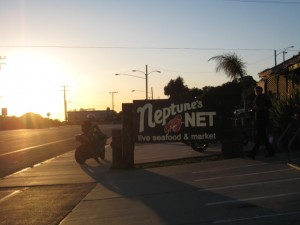 neptunes net 4