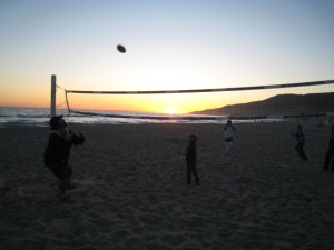 neptunes net 5