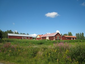 Gården, Dokkas Gården, Dokkas