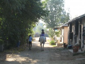 ridning Alicia ridning Alicia