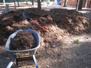 UCLA restoration, wheel barrel UCLA restoration, wheel barrel