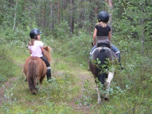 häst liten rödis häst liten rödis