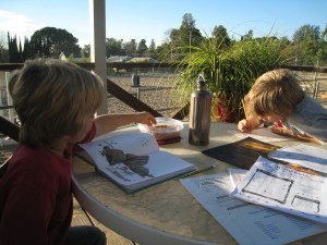homwork at evas ranch