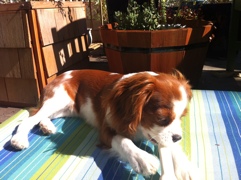 20111109-054731.jpg